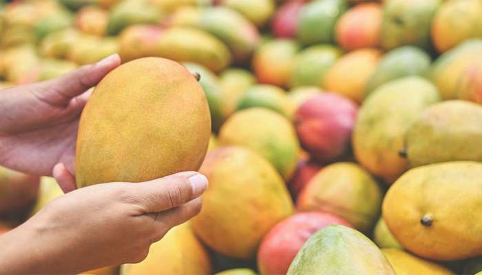 How To Choose Mangoes: ઉપરથી કેસરી દેખાતી કેરી ખરેખર મીઠી અને પાકેલી છે કે નહીં.. જાણો આ ટ્રિકની મદદથી