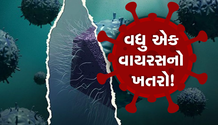 Mirusvirus Alert: વિશ્વમાં તબાહી મચાવી રહ્યો છે નવો હાઇબ્રિડ વાયરસ! વૈજ્ઞાનિકોએ કહ્યું- આવું ક્યારેય જોયું નથી