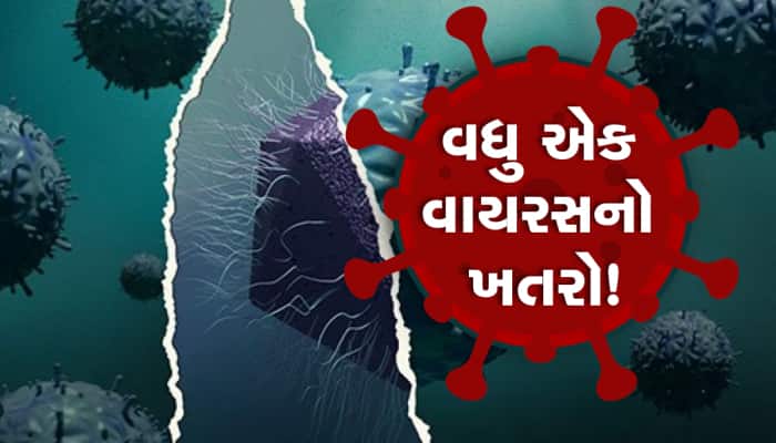 Mirusvirus Alert: વિશ્વમાં તબાહી મચાવી રહ્યો છે નવો હાઇબ્રિડ વાયરસ!