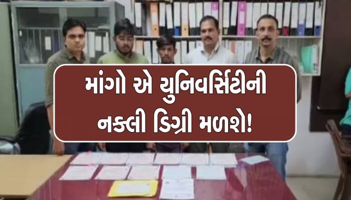 ખેડા પોલીસના હાથે લાગ્યું મોટું કૌભાંડ : રેડમાં નકલી માર્કશીટના આખા થપ્પા મળ્યા