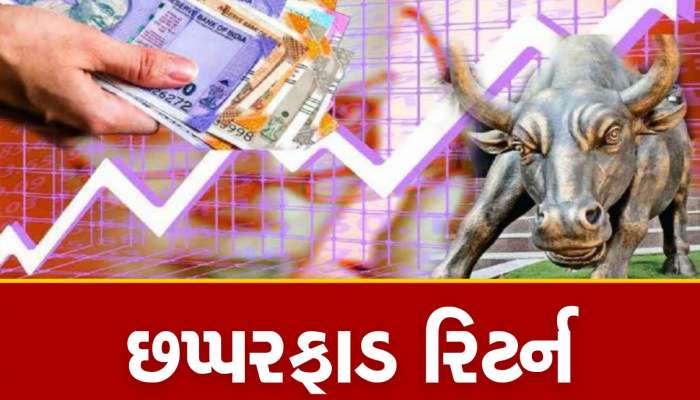 શેર 2 રૂપિયાથી 500ને પાર પહોંચી ગયો, મલ્ટીબેગર કંપનીએ એક લાખના 8 કરોડ બનાવ્યા