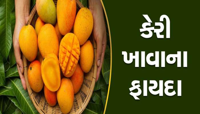 કેરી માત્ર સ્વાદ માટે જ નહીં, પણ 5 ફાયદાઓ માટે ખાઓ, તમને મળશે 5 અદ્ભુત ફાયદા, ત્વચા અને વાળ પણ રહેશે સ્વસ્થ