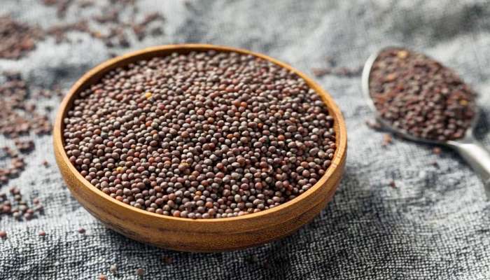 નાનો છે પણ રાઈનો દાણો છે! જાણો આ કહેવતને અનુરૂપ જ ખુબ ઉપયોગી હોય છે રાઈનો દાણો