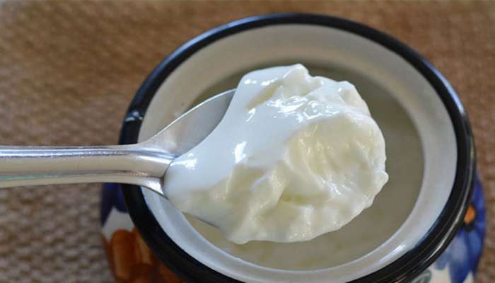 CURD: રોજ દહીં ખાતા લોકોને પણ નહીં ખબર હોય દહીં વિશેની આ વાત, શું તમને ખબર છે?