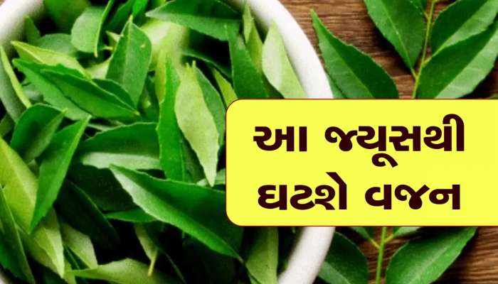 વજન ઘટાડવું હોય તો કરો આ પાંદડાના જ્યૂસનું સેવન, પાચન શક્તિ પણ થઈ જશે મજબૂત