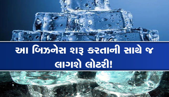 Business Idea: માત્ર 1 લાખ રૂપિયાનું રોકાણ કરીને શરૂ કરો આ બિઝનેસ, ઉનાળામાં ખુબ છે ડિમાન્ડ