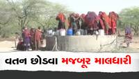 કચ્છના ગામડા ખાલી થવા લાગ્યા, માલધારીઓની હિજરત શરૂ, ખુદ સરપંચ ગામ છોડીને ગયા  