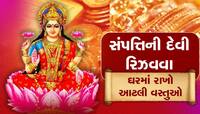 મા લક્ષ્મીને ગમે છે આ વસ્તુઓ, ઘરમાં રાખશો તો થશે ચમત્કાર, ધનથી તિજોરી છલકાશે