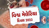 દર વર્ષે મેલેરિયાથી મરી રહ્યાં છે લાખો લોકો, અનેક ગંભીર રોગો કરતાં પણ છે વધુ ખતરનાક!