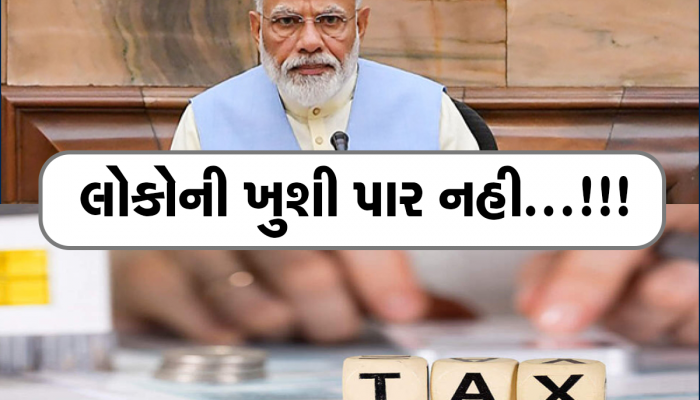 Income Tax Slab: એક બે કે ત્રણ નહી, મોદી સરકારે જાહેર કર્યા આટલા ટેક્સ સ્લેબ, ITR ભરતી વખતે રાખો ધ્યાન