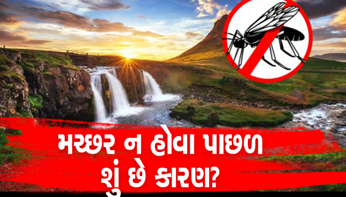 અનોખો દેશ જ્યાં એક પણ મચ્છર નથી, કારણ જાણીને તમે પણ ચોંકી જશો