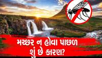 અનોખો દેશ જ્યાં એક પણ મચ્છર નથી, કારણ જાણીને તમે પણ ચોંકી જશો