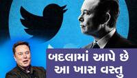 Twitter પર યૂઝર્સ પાસેથી દર મહિને 81 લાખ રૂપિયા કમાય છે Elon Musk, જાણો કેવી રીતે