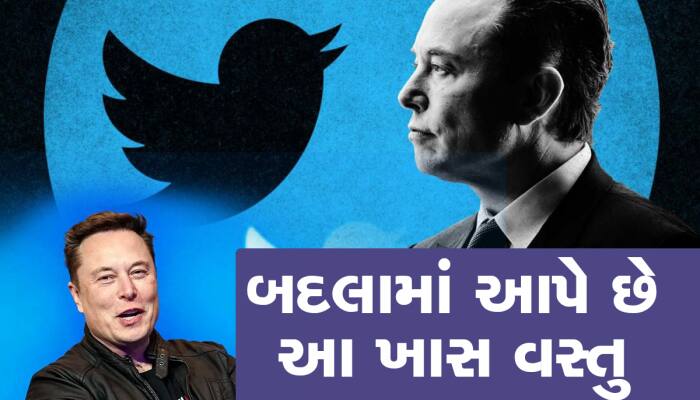 Twitter પર યૂઝર્સ પાસેથી દર મહિને 81 લાખ રૂપિયા કમાય છે Elon Musk, જાણો કેવી રીતે
