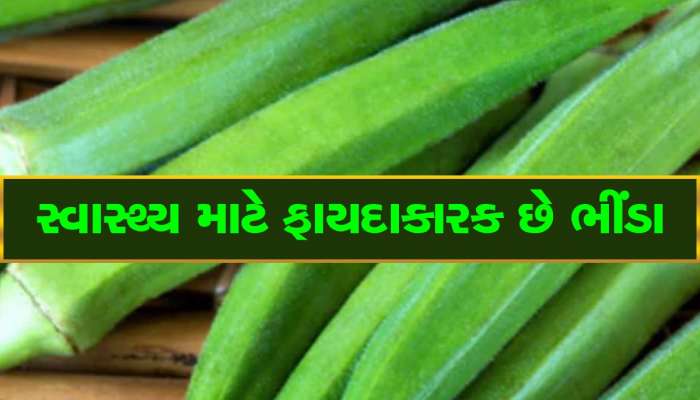 ભીંડા ખાવાથી શરીરને મળે છે આ લાભો, ફાયદા જાણીને આજે જ ખાવાનું શરૂ કરી દેશો