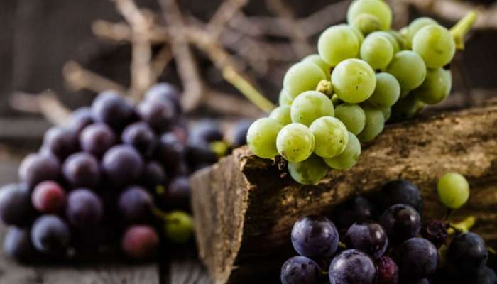 Grapes: કાળી દ્રાક્ષ કે લીલી દ્રાક્ષ? કઈ દ્રાક્ષ સ્વાસ્થ્ય માટે છે વધુ ફાયદાકારક?