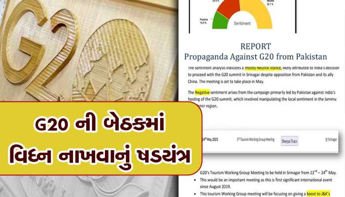 Anti G20 Propaganda: G20ની બેઠક નિષ્ફળ કરવા પાકિસ્તાનનું ષડયંત્ર, આ શહેરોમાંથી થઈ રહ્યું છે જુઓ કેવું કામ