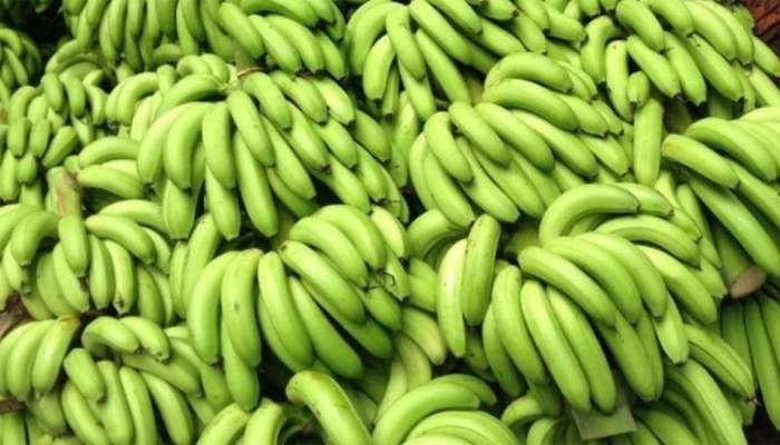 Raw Banana Benefits: ડાયાબિટીસમાં બિંદાસ ખાઈ શકાય છે કાચા કેળા, થાય છે અઢળક ફાયદા