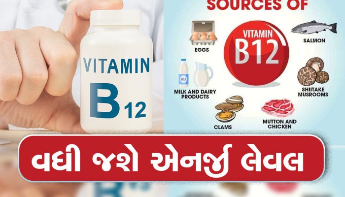 આ ગંભીર બિમારીઓનો શિકાર બનાવી દે છે Vitamin B12 ની ઉણપ, ખાવાનું શરૂ આ રીચ ફૂડ