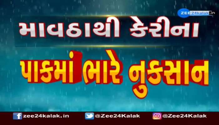 ઉનામાં કમોસમી વરસાદથી કેરીના પાકમાં નુકસાન