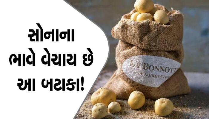 Amazing: આ છે દુનિયાના સૌથી મોંઘા બટાકા! કિંમત જાણીને તમે પણ ચોંકી જશો 