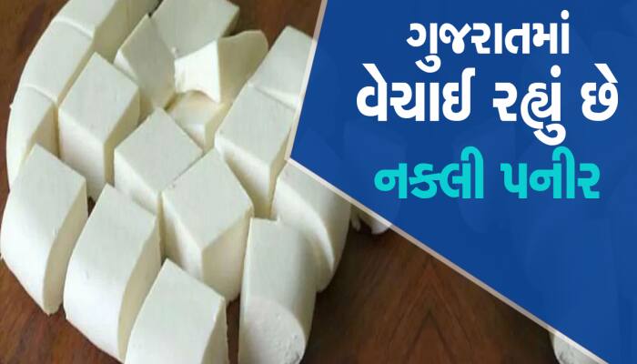 બહુ પનીર પનીર કરો છો ને, લો ગુજરાતમાં વેચાય છે આટલી હલકી ક્વોલિટીનું પનીર