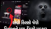 Ghost in Car:ટેસ્લાની હાઈટેક સિસ્ટમે પકડ્યું 'ભૂત', દોડતો પડછાયો જોઈને લોકો ફફડી ગયા