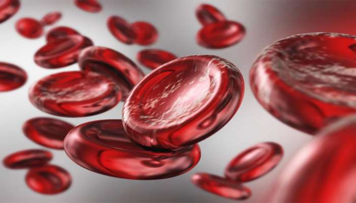 Health Tips: સાત દિવસમાં વધી જશે Hemoglobin Level, બસ ફોલો કરો આ 5 ટીપ્સ