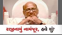 NCP ની કોર કમિટીએ નામંજૂર કર્યું શરદ પવારનું રાજીનામું, હવે બધાની નજર પવાર પર