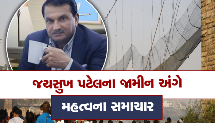 Morbi Bridge Collapse : ગુજરાત હાઈકોર્ટે આ ત્રણને આપ્યા જામીન, શું જયસુખ પટેલ માટે રસ્તો ખૂલ્યો?