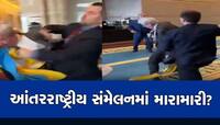 રશિયન પ્રતિનિધિએ એવું કર્યું, પછી તો કોન્ફરન્સમાં યુક્રેનિયન સાંસદે માર્યો મુક્કો