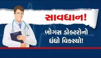 અન્ય રાજ્યોની બનાવટી ડીગ્રીઓ આપતા 2 શખ્સોને SOG ઝડપ્યા, 40 જેટલા દસ્તાવજો અને...'