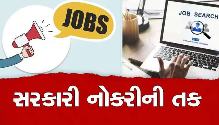 Sarkari Naukri: 45 વર્ષ સુધીની ઉંમરના લોકો માટે સરકારી નોકરીની શાનદાર તક, જાણો ક્યાં કેવી રીતે કરશો અરજી