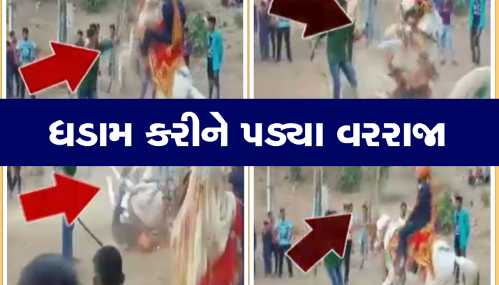 વરઘોડામાં ઘોડીએ ચઢેલા વરરાજા ગબડી પડ્યા, જુઓ ઘટનાનો વીડિયો 