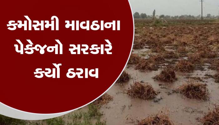 સહાય પેકેજ: 33 ટકાથી વધારે પાકને નુક્સાન થયું હોય તો જ સહાય, નિયમોની આંટીઘૂંટીમાં..'