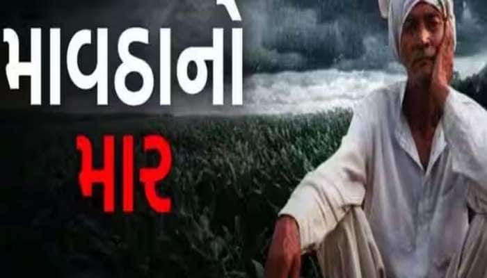 ગુજરાતના આ 48 તાલુકાના ખેડૂત હોય તો જ રાખજો આશા, સરકારે આપ્યો છે મોટો ઠેંગો
