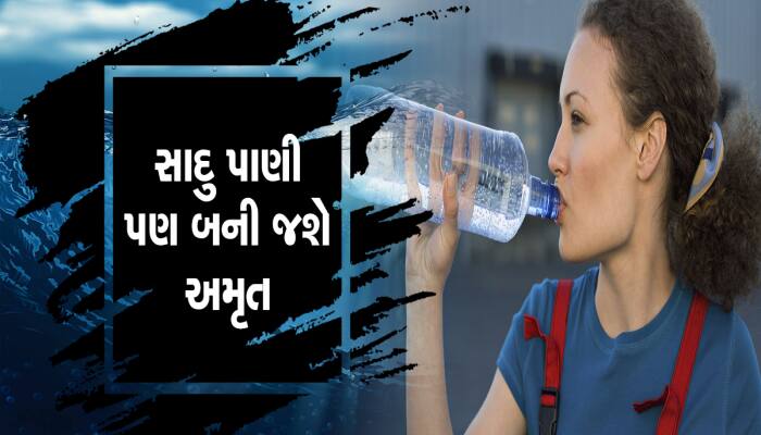 સાદું પાણી બની જશે સોમરસ, પાણીની બોટલમાં આ 3 વસ્તુઓ મિક્સ કરીને પીઓ 