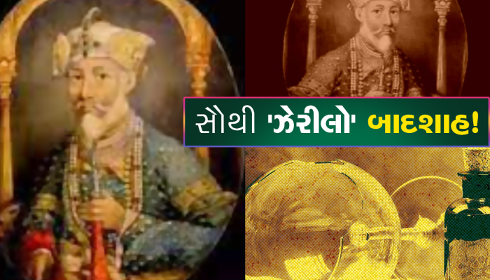 ગુજરાતનો સૌથી 'ઝેરી' રાજા: મચ્છર પણ લોહી પી મરી જતો, આ કારણે શરીર બનાવી દીધું હતું ઝેરી