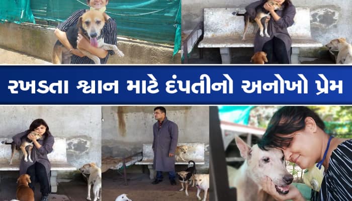 રખડતા શ્વાનનું રહેઠાણ બન્યું વાપીનું દંપતીનું ઘર, સંતાનોની જેમ રાખે છે સંભાળ