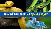 શું તમને સપનામાં વારંવાર સાંપ દેખાય છે? તો થઈ જજો સતર્ક, જાણો શું છે તેનો અર્થ