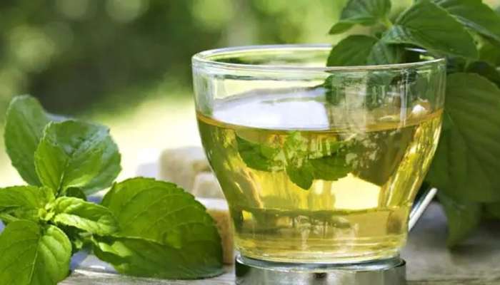 Green Tea: શું તમને પણ ગ્રીન ટી પીવાની આદત છે? તો સૌથી પહેલાં જાણી લો આ વાત