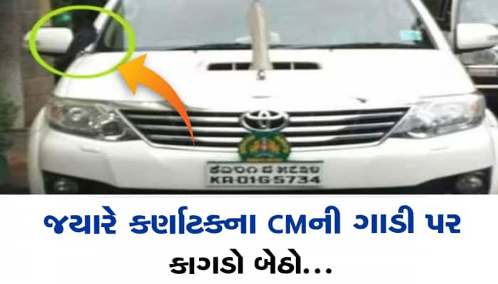 કર્ણાટકના પૂર્વ CMને કેમ લાગે છે કાગડાથી ડર? કાર પર કાગડો બેઠો, તો કેમ લીધી નવી કાર