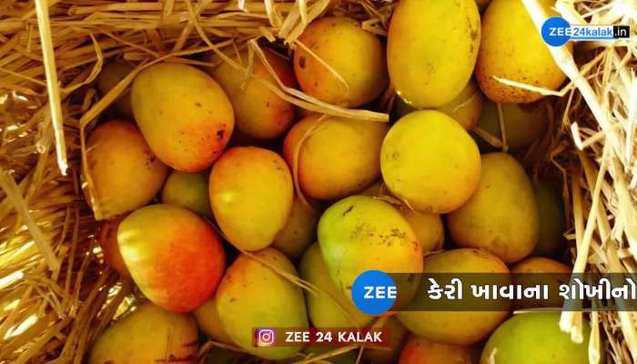 જો તમે પણ કેરી સાથે આ વસ્તુ ખાતા- પીતા હોવ તો થઈ જજો સાવધાન! 