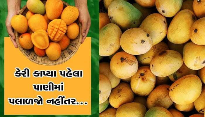 કેરીને પાણીમાં પલાળ્યા બાદ ખાશો તો થશે ફાયદા, જાણો શા માટે જરૂરી છે આ ટિપ્સ?