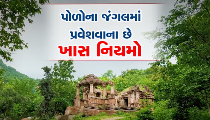 પોળોના જંગલમાં ફરવા ઉપડ્યા ને આ ભૂલ કરી તો ભારે પડશે, અહી પ્રવેશવાના છે નિયમો