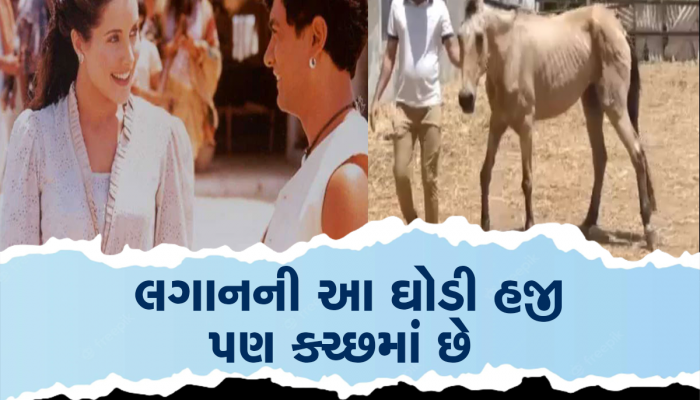 રેખા પર સવાર થઈને આમીરની હોલિવુડ એક્ટ્રેસે શુટિંગ કર્યું હતું, આજે કચ્છમાં રિટાયર્ડ લાઈફ જીવે છે 
