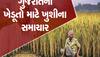 ઉત્તર ગુજરાતના ખેડૂતો માટે મુખ્યમંત્રીનો મોટો નિર્ણય, ઉનાળામાં પાણી નહિ ખૂટે તેવી વ્યવસ્થા કરાશે 