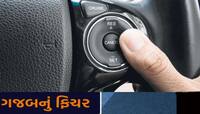 Car Features: બહુ કામનું છે કારનું આ ફીચર, પણ એક નાનકડી ભૂલ પહોંચાડી શકે છે પરલોક