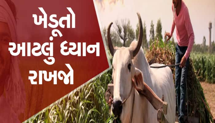 ગુજરાત સરકારની ખેડૂતોને સલાહ : વાવેતર પહેલા આ વાતનું ખાસ ધ્યાન રાખજો, નહિ તો પસ્તાશો