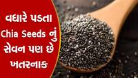 Chia Seeds નું વધુ પડતું સેવન સ્વાસ્થ્ય માટે ઝેર બરાબર! થઈ શકે છે આ સમસ્યાઓ